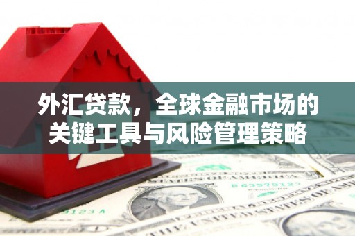 梁园外汇贷款，全球金融市场的关键工具与风险管理策略