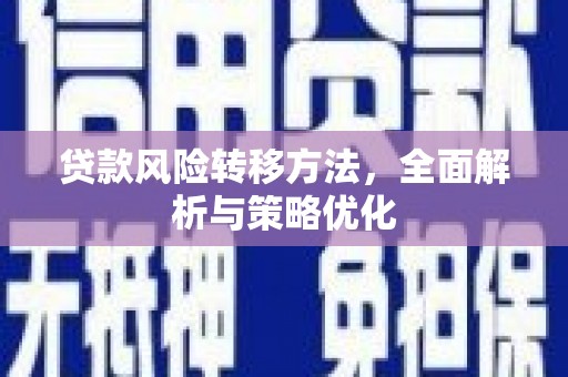 梁园贷款风险转移方法，全面解析与策略优化