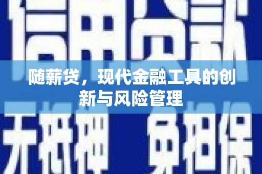 梁园随薪贷，现代金融工具的创新与风险管理