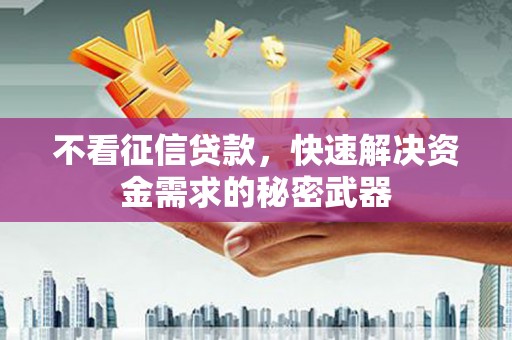 梁园不看征信贷款，快速解决资金需求的秘密武器