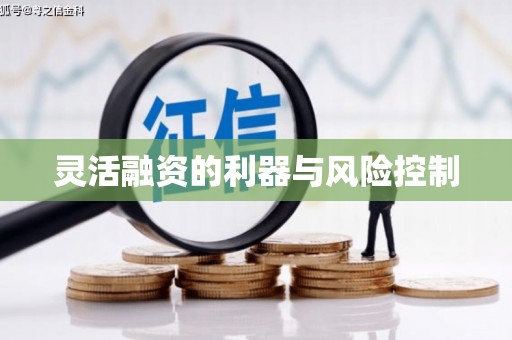 梁园灵活融资的利器与风险控制