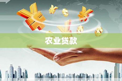 梁园农业贷款
