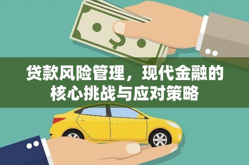 梁园贷款风险管理，现代金融的核心挑战与应对策略