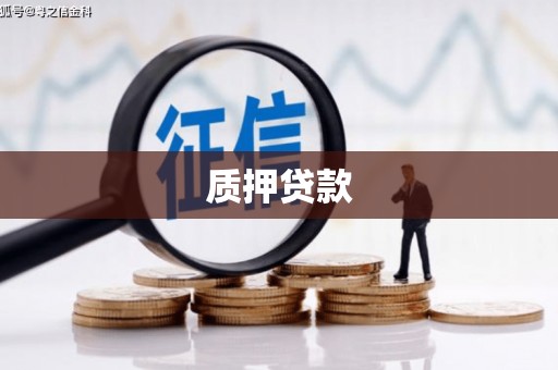 梁园质押贷款