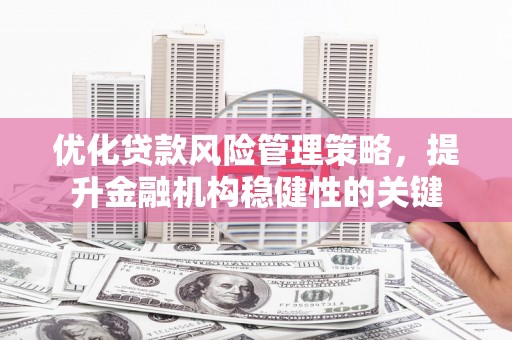 梁园优化贷款风险管理策略，提升金融机构稳健性的关键