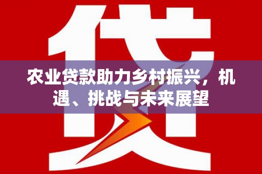梁园农业贷款助力乡村振兴，机遇、挑战与未来展望