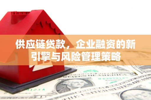 梁园供应链贷款，企业融资的新引擎与风险管理策略