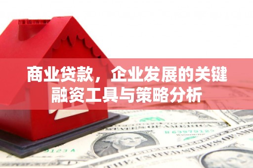 梁园商业贷款，企业发展的关键融资工具与策略分析