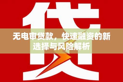 梁园无电审贷款，快速融资的新选择与风险解析