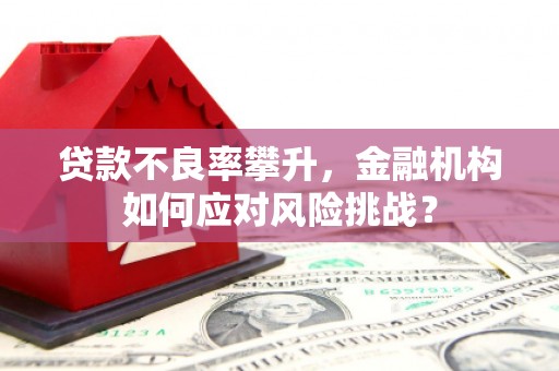 梁园贷款不良率攀升，金融机构如何应对风险挑战？