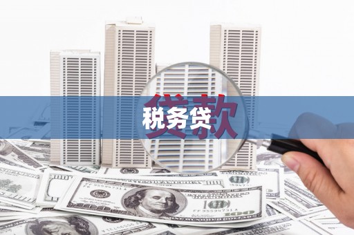梁园税务贷