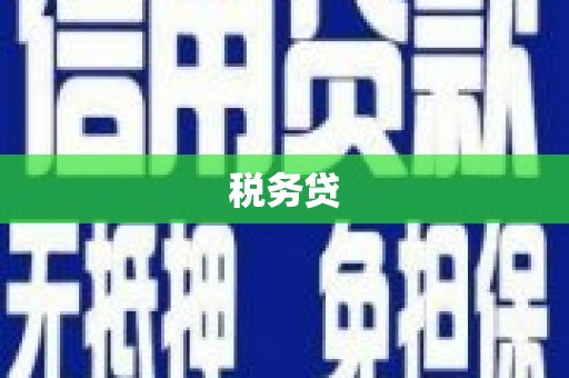 梁园税务贷