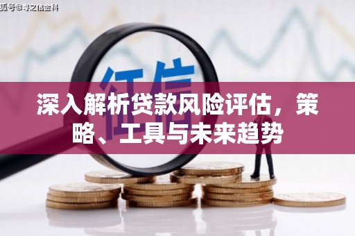 梁园深入解析贷款风险评估，策略、工具与未来趋势