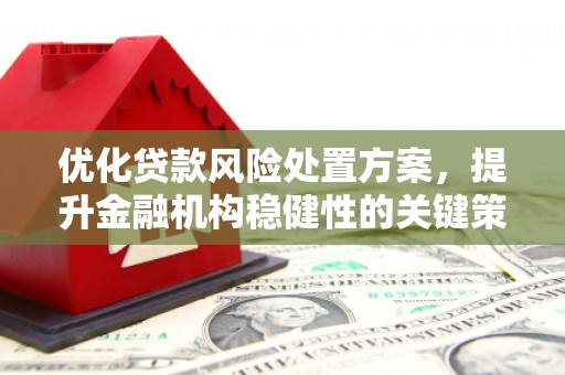 梁园优化贷款风险处置方案，提升金融机构稳健性的关键策略