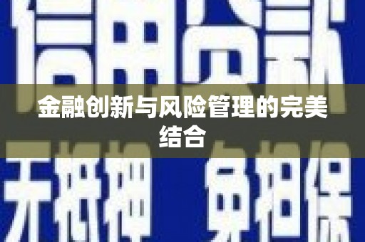 梁园金融创新与风险管理的完美结合