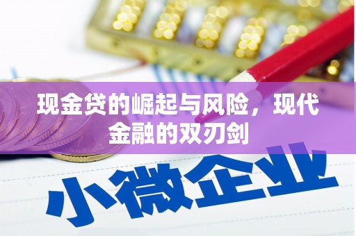 梁园现金贷的崛起与风险，现代金融的双刃剑