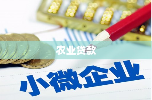 梁园农业贷款