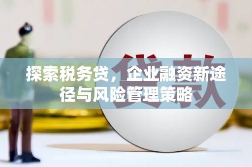 梁园探索税务贷，企业融资新途径与风险管理策略
