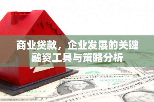 梁园商业贷款，企业发展的关键融资工具与策略分析