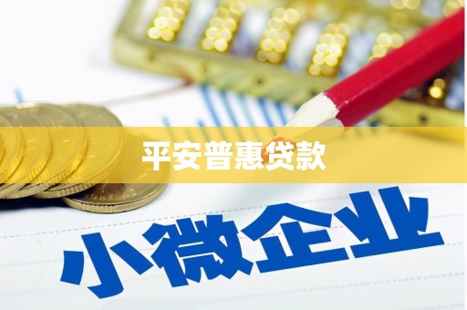 梁园平安普惠贷款