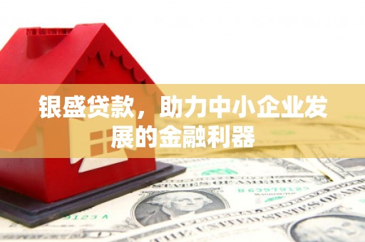 梁园银盛贷款，助力中小企业发展的金融利器