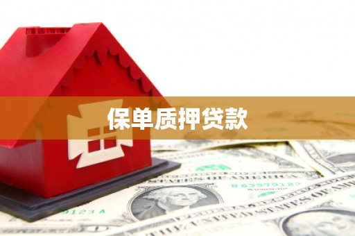 梁园保单质押贷款