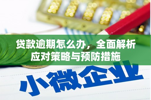 梁园贷款逾期怎么办，全面解析应对策略与预防措施