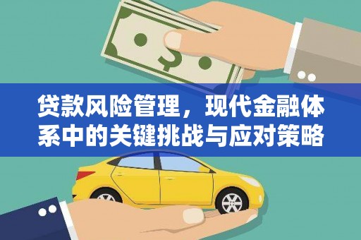梁园贷款风险管理，现代金融体系中的关键挑战与应对策略
