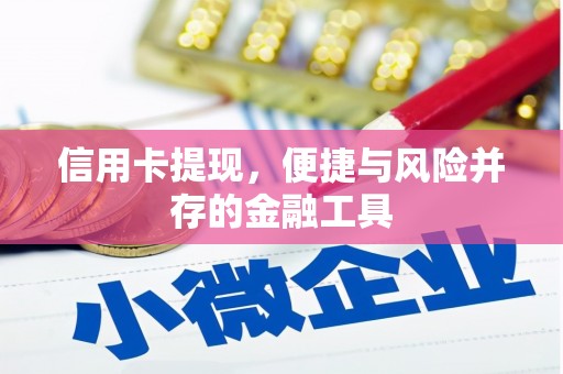 梁园信用卡提现，便捷与风险并存的金融工具