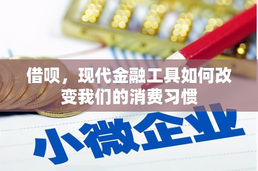 梁园借呗，现代金融工具如何改变我们的消费习惯