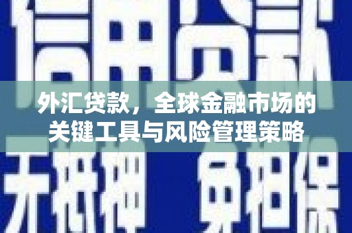 梁园外汇贷款，全球金融市场的关键工具与风险管理策略