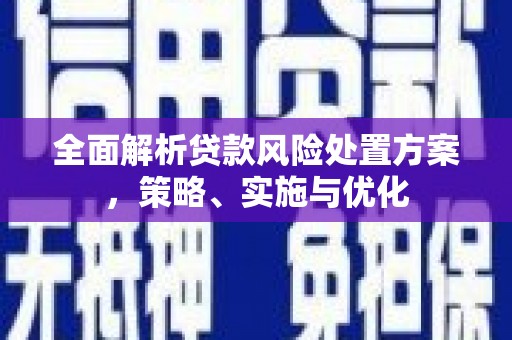 梁园全面解析贷款风险处置方案，策略、实施与优化