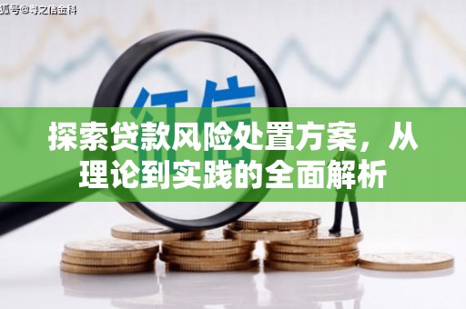 梁园探索贷款风险处置方案，从理论到实践的全面解析