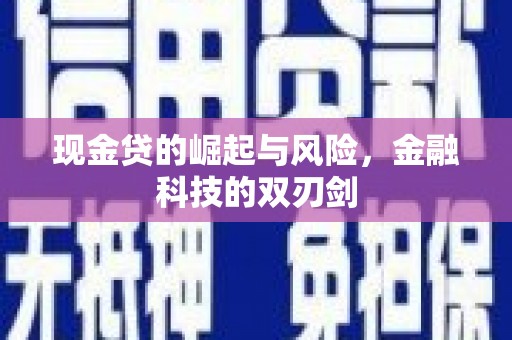 梁园现金贷的崛起与风险，金融科技的双刃剑