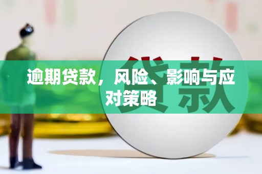 梁园逾期贷款，风险、影响与应对策略