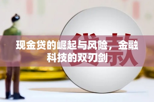 梁园现金贷的崛起与风险，金融科技的双刃剑