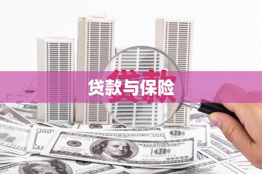 梁园贷款与保险