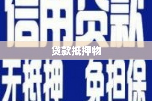 梁园贷款抵押物