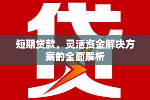 梁园短期贷款，灵活资金解决方案的全面解析