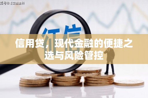 梁园信用贷，现代金融的便捷之选与风险管控
