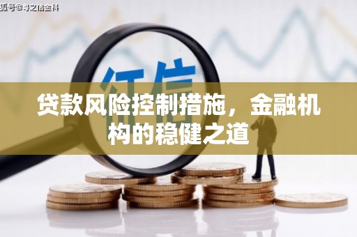 梁园贷款风险控制措施，金融机构的稳健之道