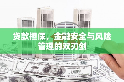 梁园贷款担保，金融安全与风险管理的双刃剑