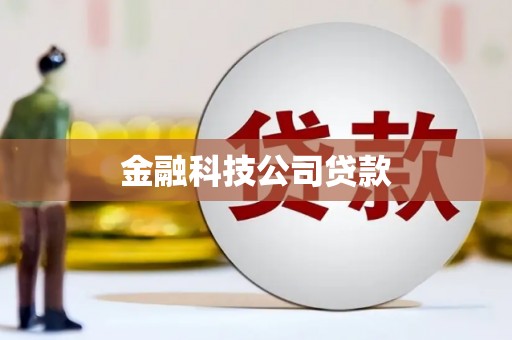 梁园金融科技公司贷款