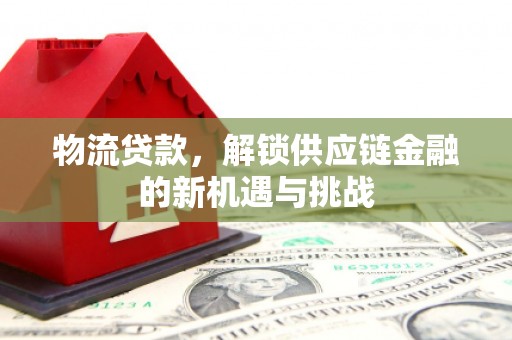 梁园物流贷款，解锁供应链金融的新机遇与挑战