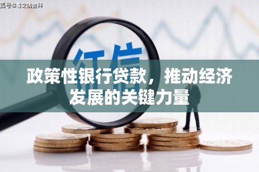 梁园政策性银行贷款，推动经济发展的关键力量