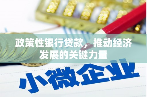 梁园政策性银行贷款，推动经济发展的关键力量
