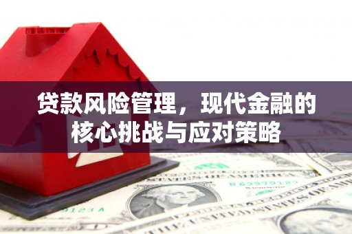 梁园贷款风险管理，现代金融的核心挑战与应对策略
