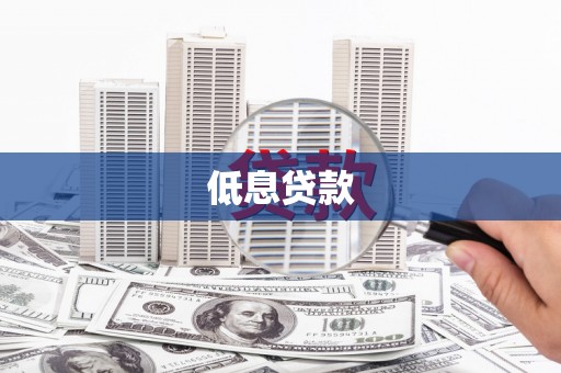 梁园低息贷款