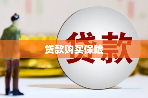 梁园贷款购买保险