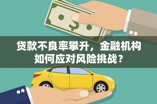 梁园贷款不良率攀升，金融机构如何应对风险挑战？